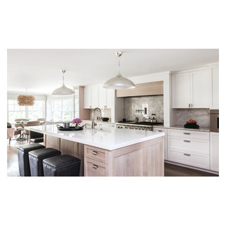 Harding Kitchen - Transitional - Kitchen - New York - by Mimi & Hill ...
