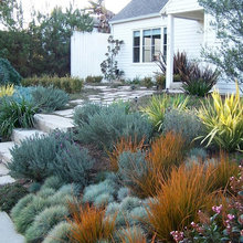 Movement Church Landscaping