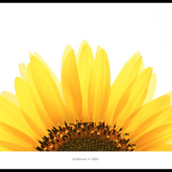 Photography Samples - Photographs