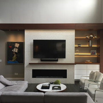 Contemporary Fireplace and Media Center