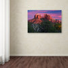 Mike Jones Photo 'Sedona Cathedral Rock Dusk' Canvas Art, 30x47