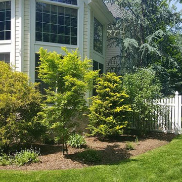 Landscape Design