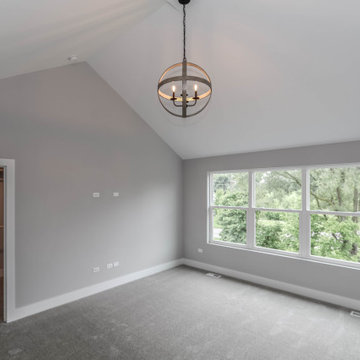 Modified Laguna I | Reserves of Dunmoor Estates Plainfield, IL