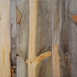 Beetle Kill pine - Wall Decor
