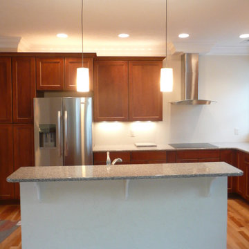 The Raleigh Apartments - Roanoke, Va.