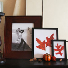 fall