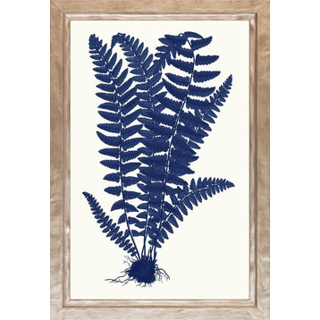 Blue Silhoutte Ferns Framed Art Print