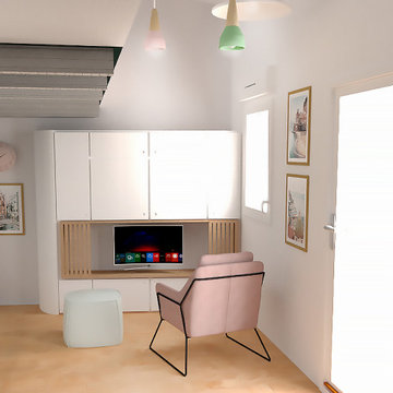 Projet Clémentine