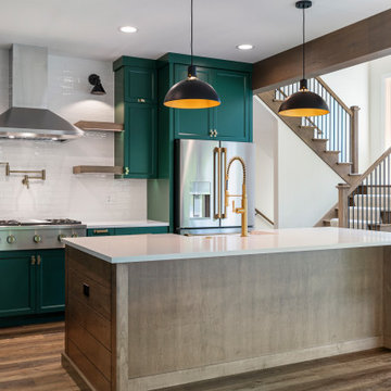 Modified Laguna II | Naperville, IL