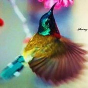 Maggilint Madalin's photo