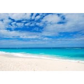Christine Lane's photo