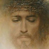 Divine Mercy's photo
