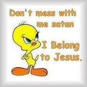shalom's photo