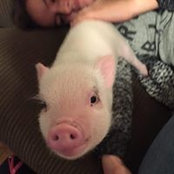 Kamree Gardner-Daley's photo