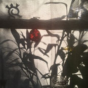 Kathy Kilroy &  Michael Blades's photo