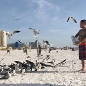 Tj Nguyen's photo