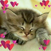 Therese Ruelland's photo