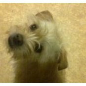 Sandra Slautterback's photo