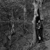 Peter Devlin's photo