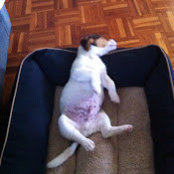Rosette Peirce's photo