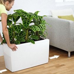 Cararo Premium 75  Lechuza - Indoor Pots And Planters
