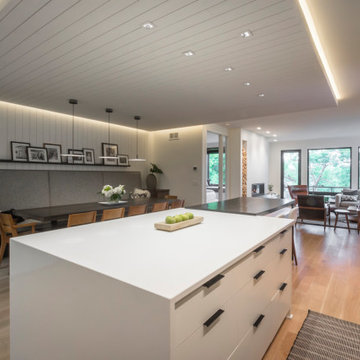 Minneapolis Whole Home Renovation