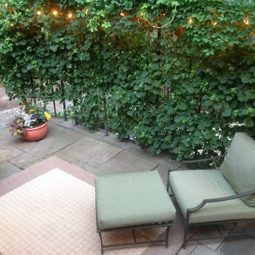 Linden Hardscape/Plantings