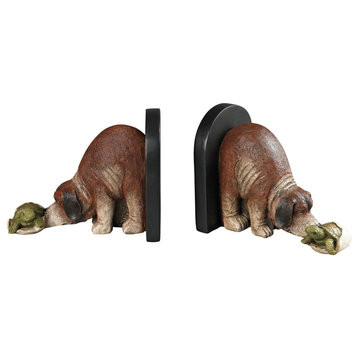 Brown Dog Sniffing A Hatching Turtle Shell Bookend Made Of Composite In A