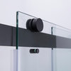 Spezia Double Sliding Frameless Shower Door, Matt Black, 60" W X 76" H