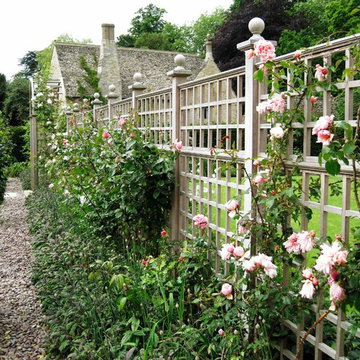 Trellis Inspiration