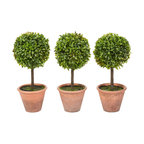 Pure Garden 3-Piece Potted Realistic Faux Boxwood Topiary