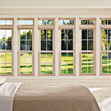 Window and Door Replacement