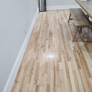 Entire Home Remodel (Still in process)