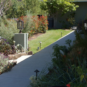 Custom Decks, Fences & Privacy Screens