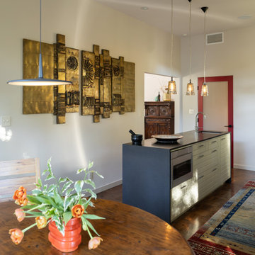 Art Collector's Home