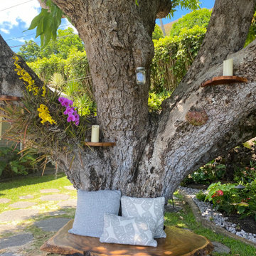 100 Year Old Tree Bench