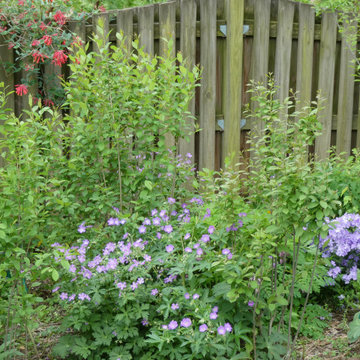 Shrubs with spring flowers