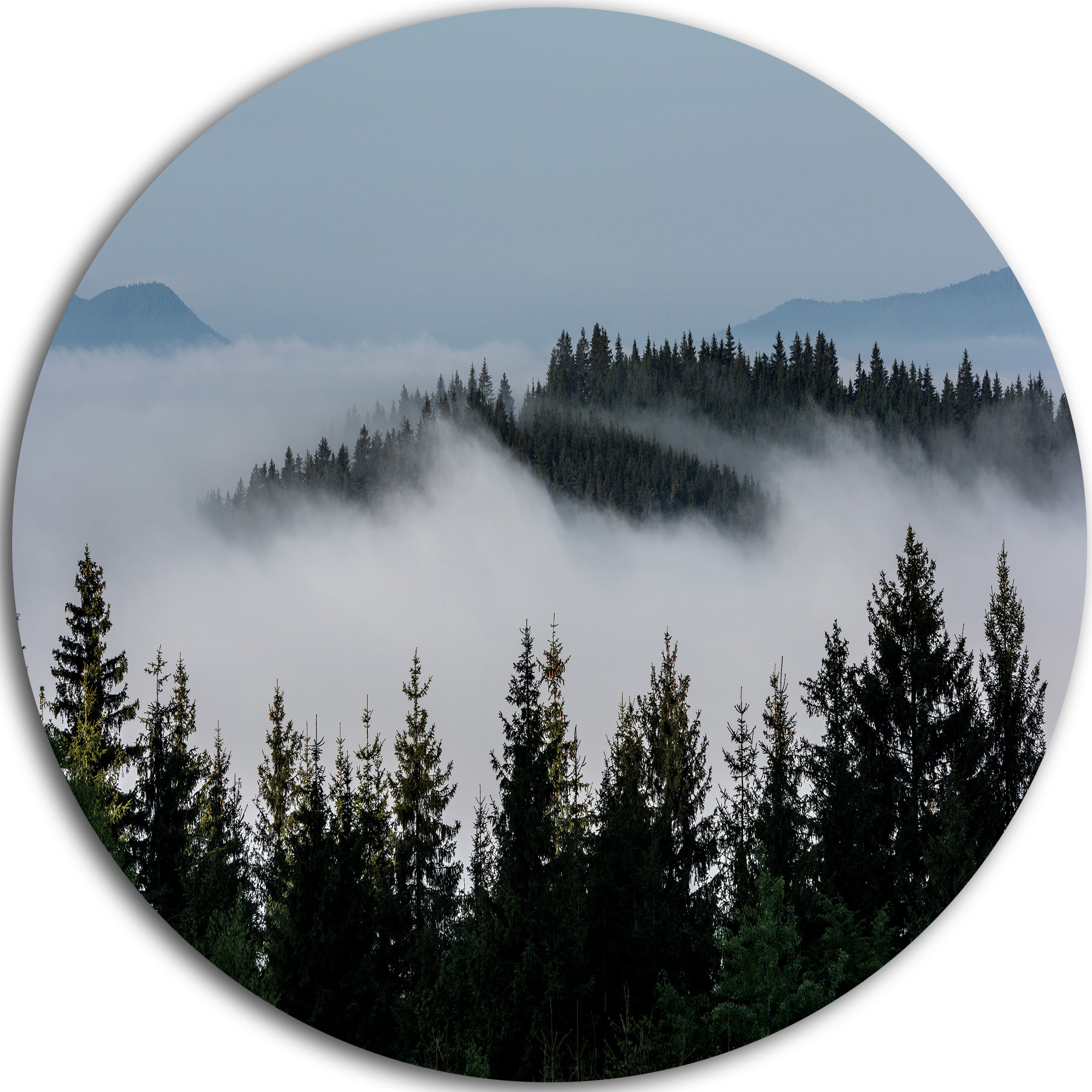 Dark Trees And Fog Over Mountains, Landscape Disc Metal Wall Art, Disc ...