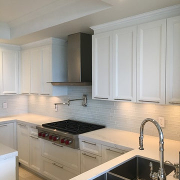 Toronto Contemporary Condo Remodel