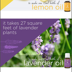 Young Living Essential Oil - Lifestyle And Leisure