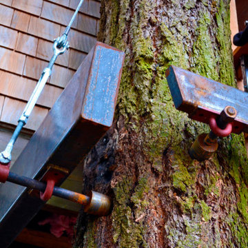 Bionic Tree House