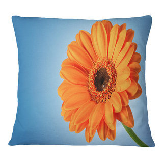 Designart Large Orange Gerbera on White - Floral Throw Pillow - 18x18