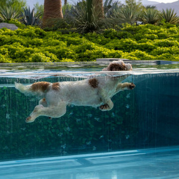 Serenity Indian Wells luxury modern home swimming pool floating glass bridge