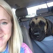 Amanda Roberts's photo