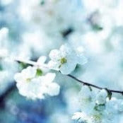Nikki Xanthos's photo