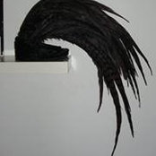 Paula Bradley's photo