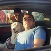 Sherif ElShafeey's photo