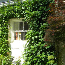 Jenns house