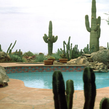 Desert Gardens