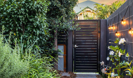 Before & After: A Dried-Up Yard Now a Lush Entertaining Zone